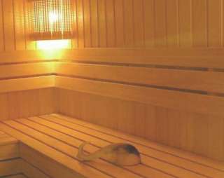 Сауна Сауна Терма в Нижнем Новгороде